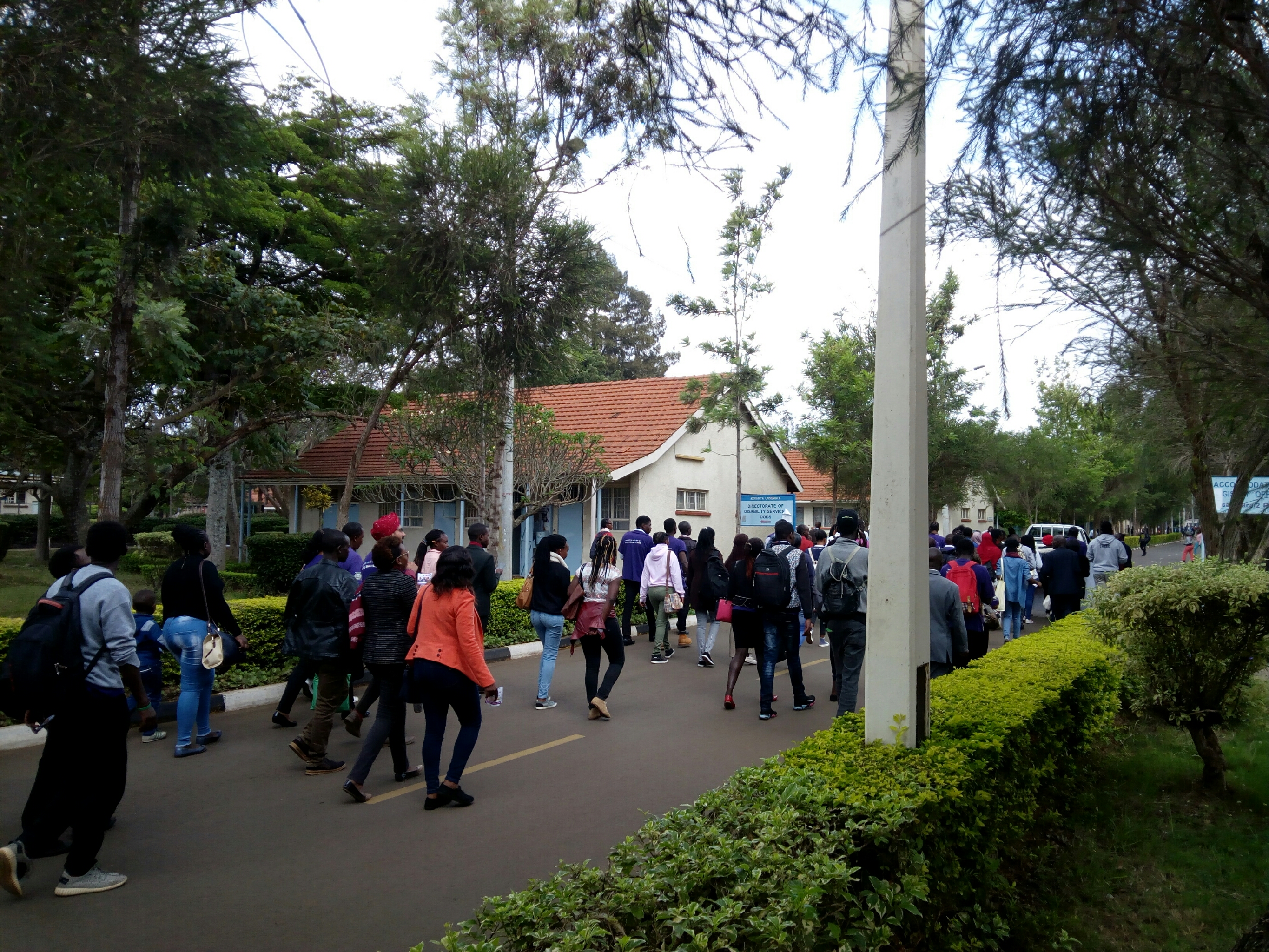 PhotoGrid_1541408135452