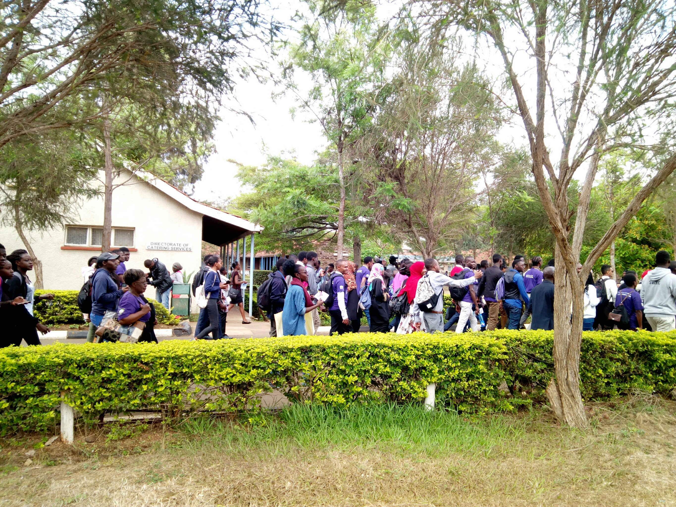 PhotoGrid_1541408155494