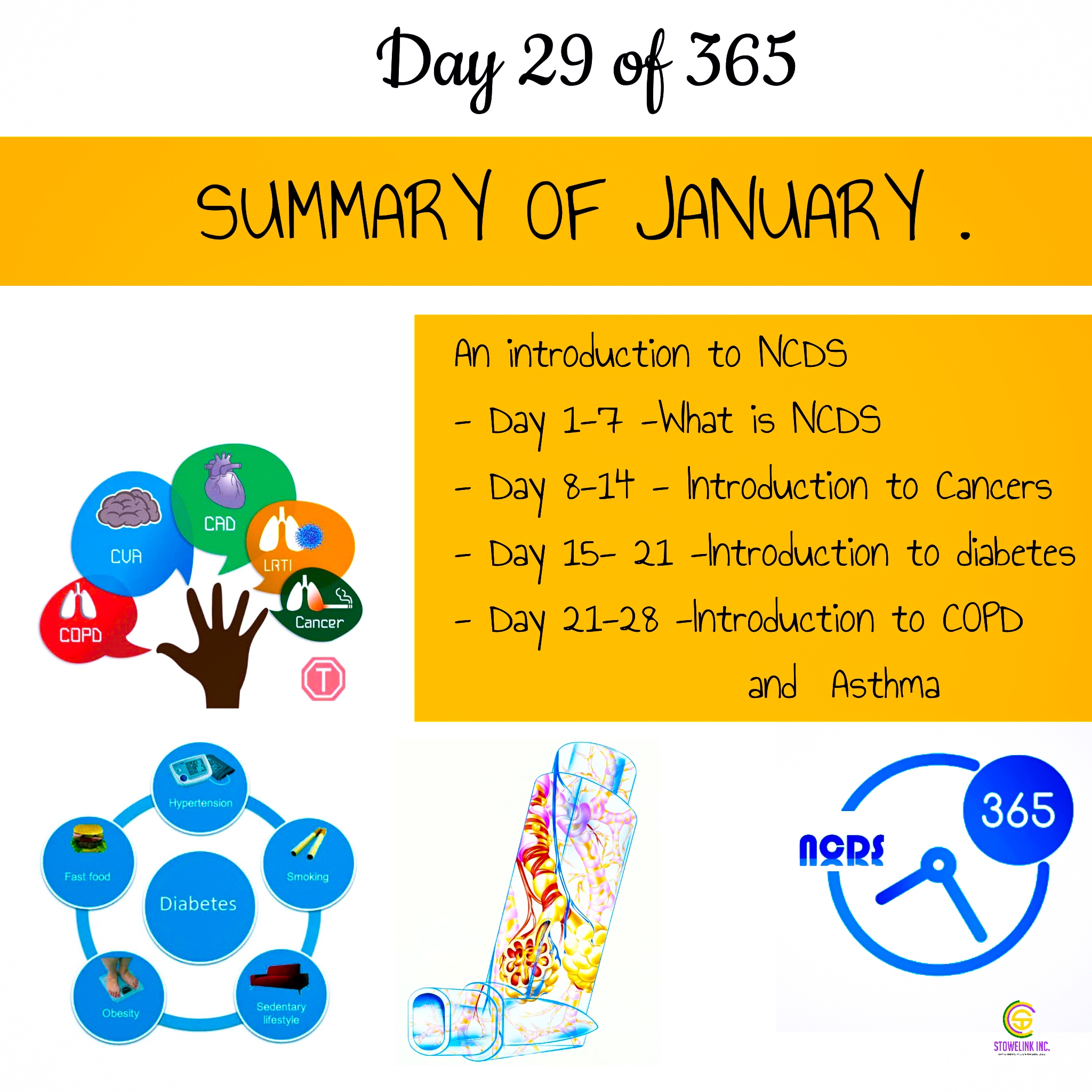 NCDS 365 (15)