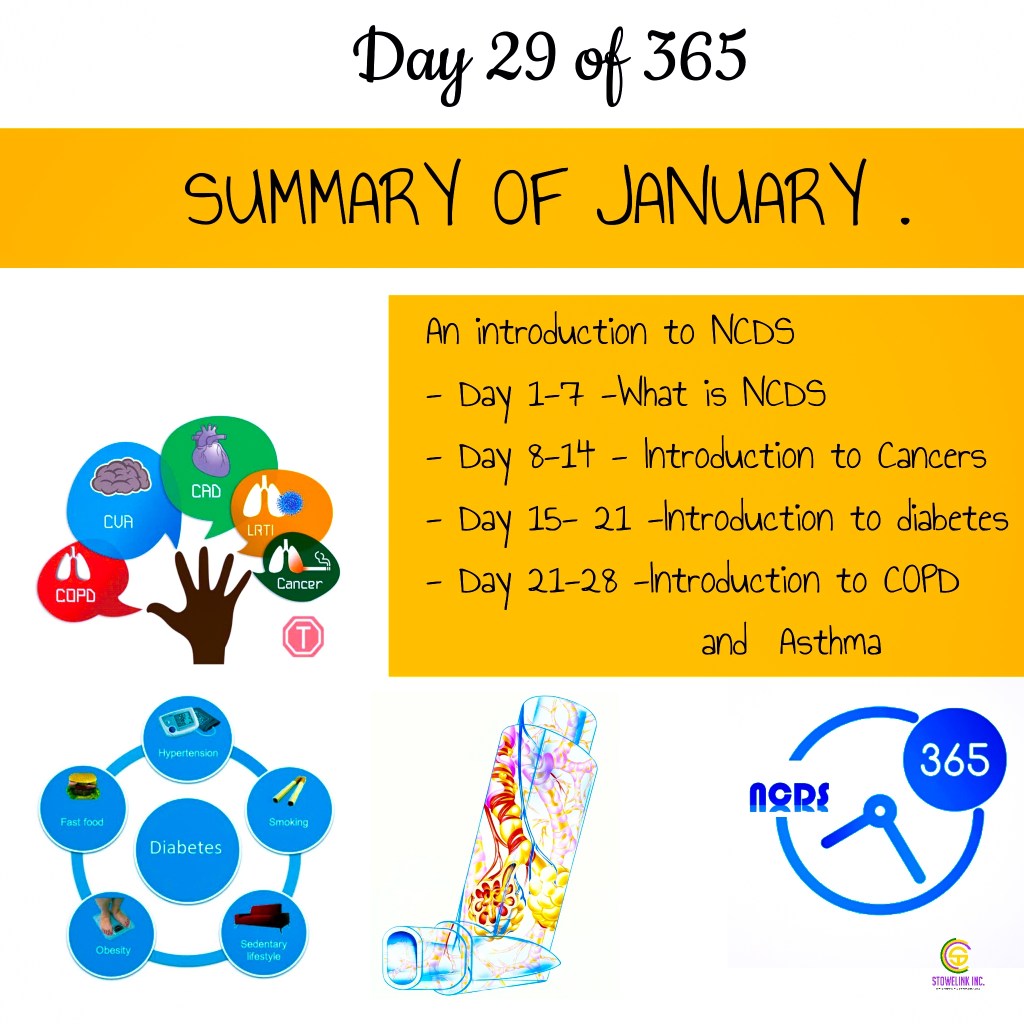 NCDS 365 SUMMARY OF JANUARY DAY&nbsp;29-31