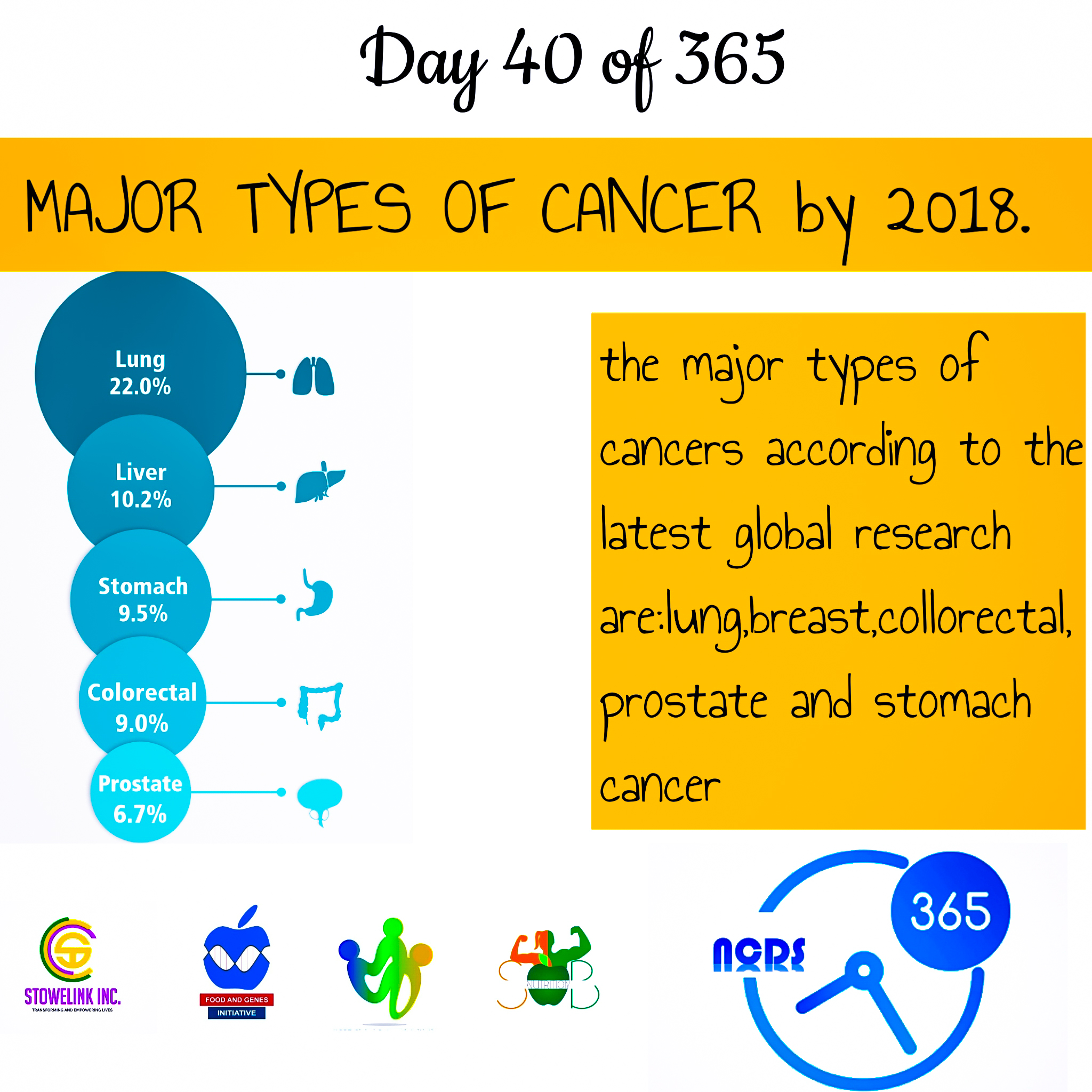 NCDS 365 (28)