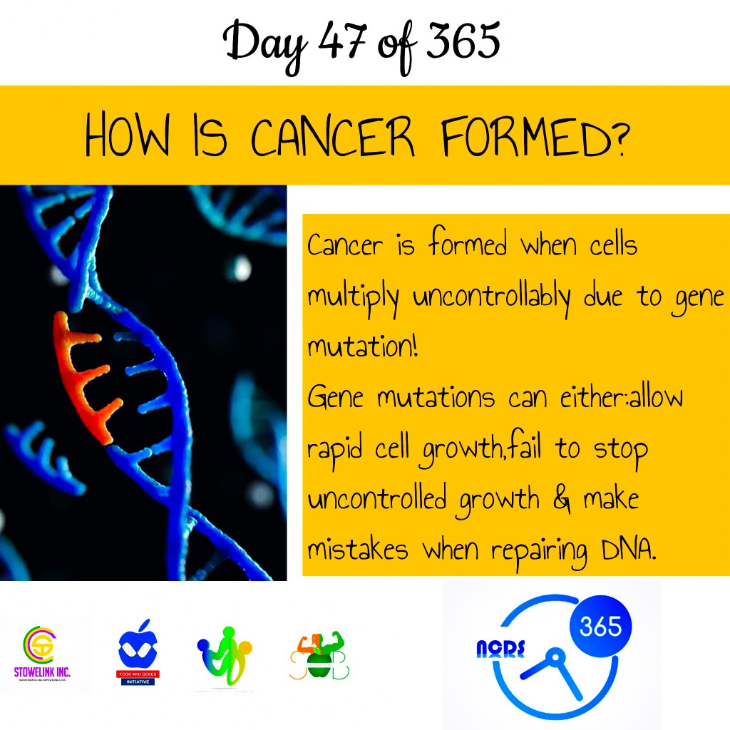 FEBRUARY:DAY 46-52 CAUSES OF&nbsp;CANCER