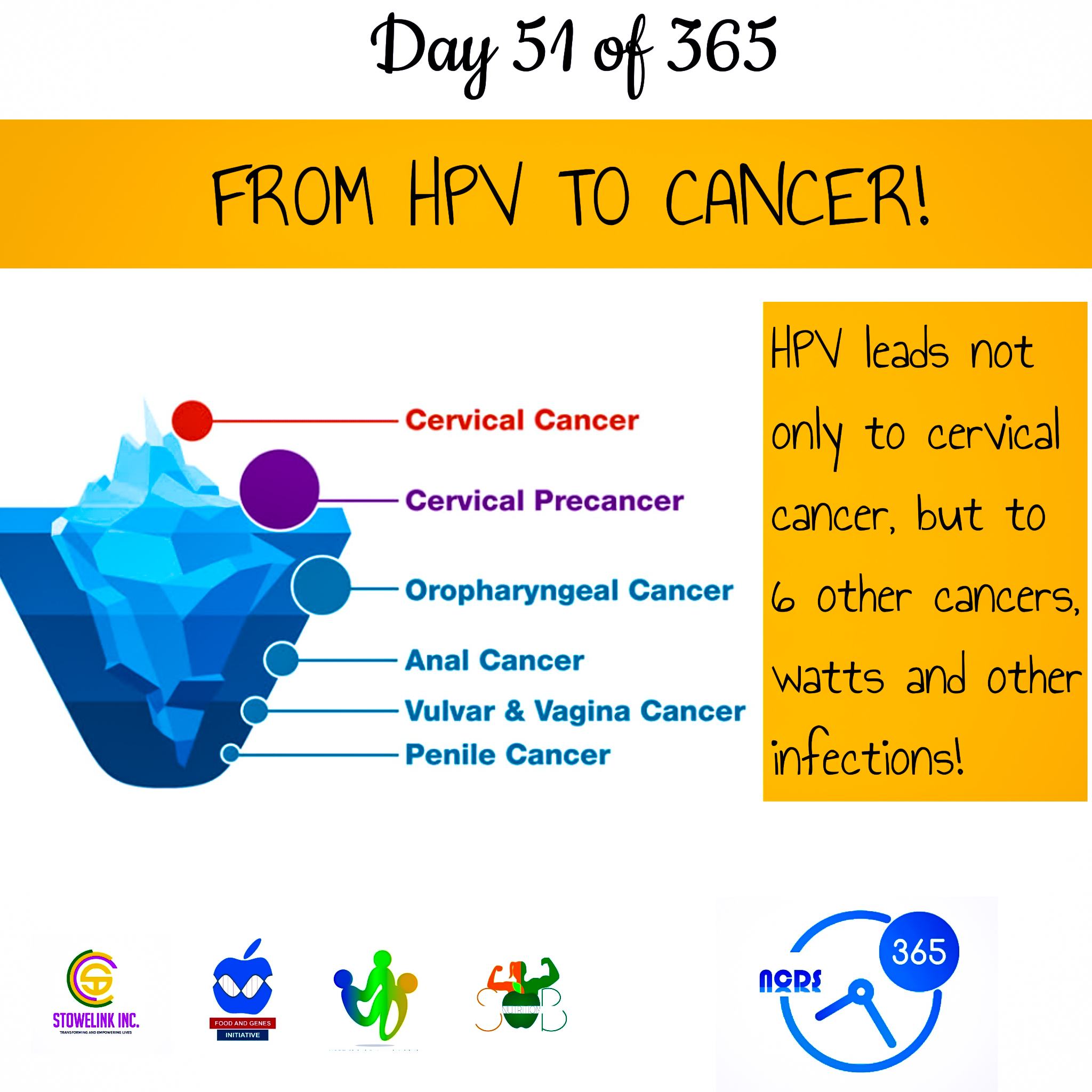 NCDS 365 (40)