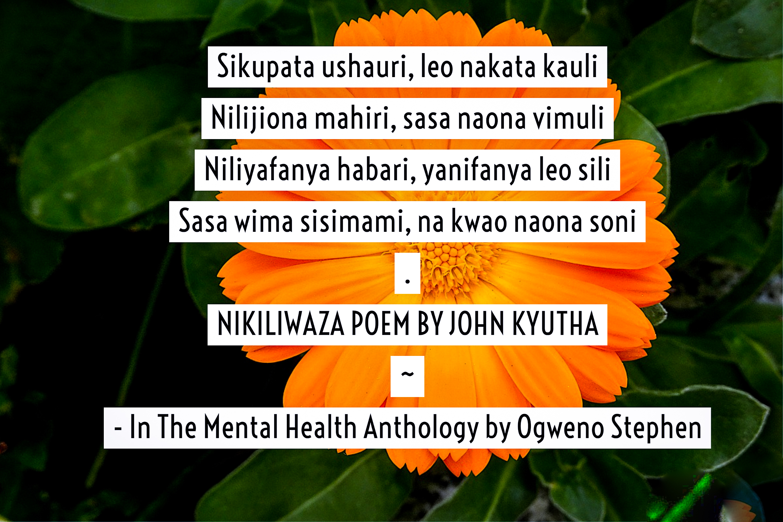 QUOTES FROM THE MENTAL HEALTH ANTHOLOGY BOOK BY OGWENO STEPHEN (21)