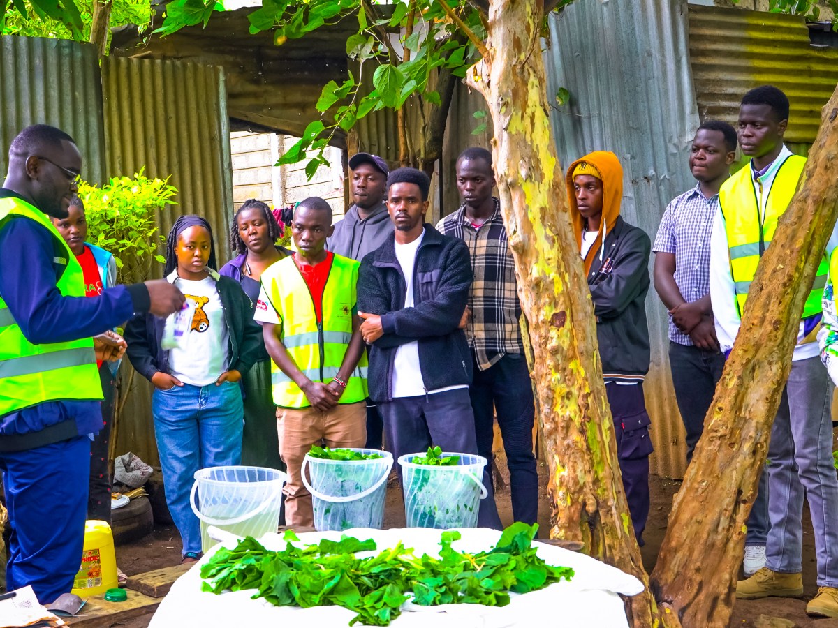 Strengthening Nutrition Knowledge at Community Level: Stowelink Foundation Partners with Info4Food for Healthy Eating and Food Preservation&nbsp;Training